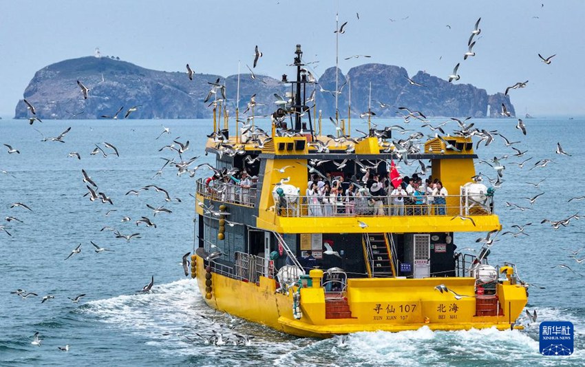 游客乘船出海與海鳥互動.jpg